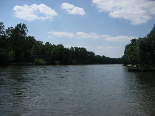 Picture 072